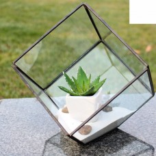 WGV International Heptahedron Tilted Cube Glass Terrarium   